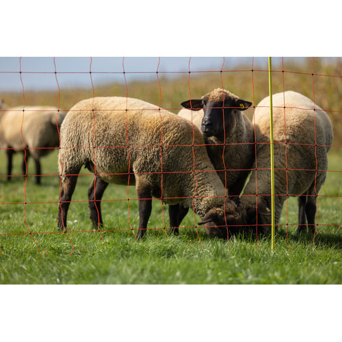 Sheep Netting, 50 m, orange, height: 90 cm - double prong - Harvesso