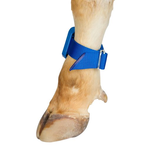 Tying Strap for Pedometer blue - Harvesso