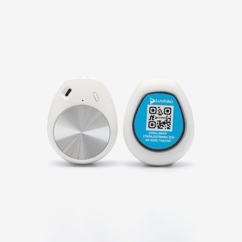 LUVINKA DTH-8001 temperature and humidity data logger, Bluetooth, pack of 2 - Harvesso